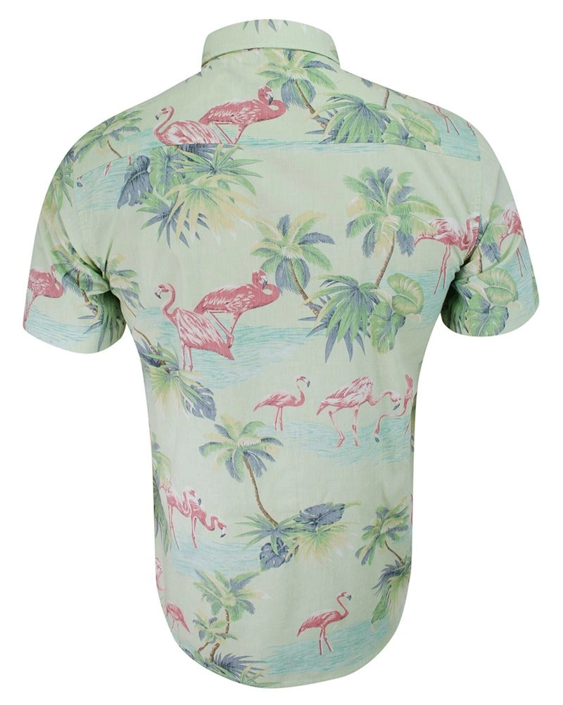 Koszula Bawełniana Zielona we Flamingi, Casualowa z Krótkim Rękawem Prosty Krój Wakacyjna BRAVE SOUL