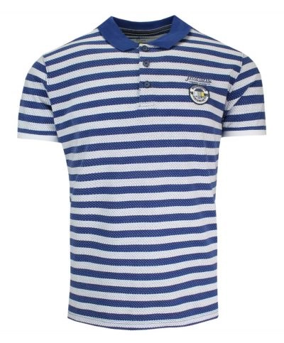 Koszulka POLO Niebiesko-Biała w Paski, Casualowa, Męska, Krótki Rękaw