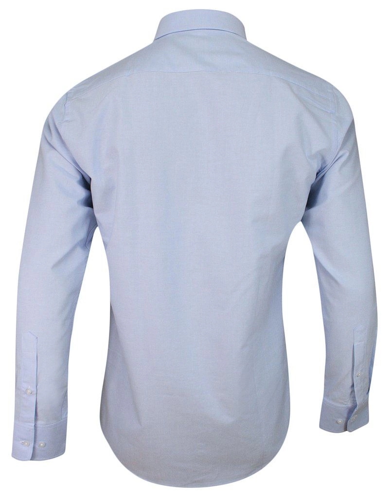 Niebieska Koszula Męska z Długim Rękawem, 100% Bawełna -CHIAO Taliowana, z Guzikami przy Kołnierzyku
